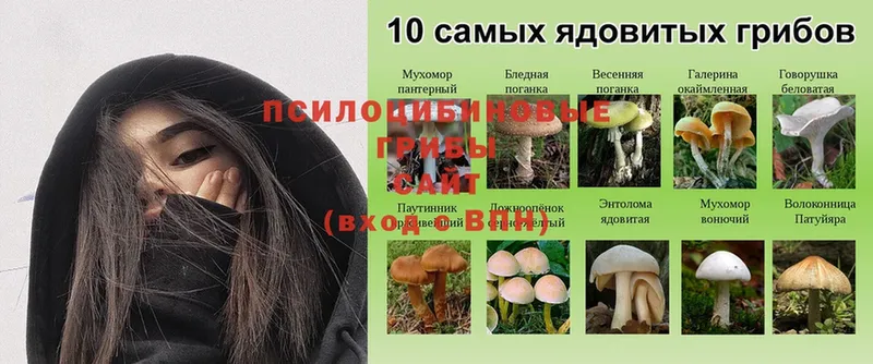 цены наркотик  Белогорск  Галлюциногенные грибы MAGIC MUSHROOMS 